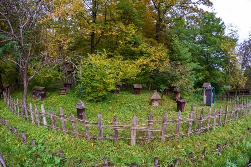 2025-Reymontowskie-inspiracje-Sanok-warsztaty-017