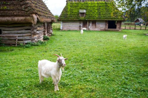 2025-Reymontowskie-inspiracje-Sanok-warsztaty-167