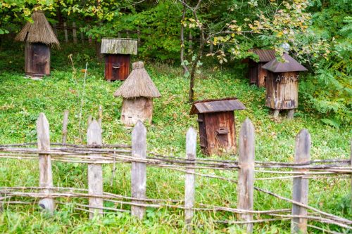 2025-Reymontowskie-inspiracje-Sanok-warsztaty-169